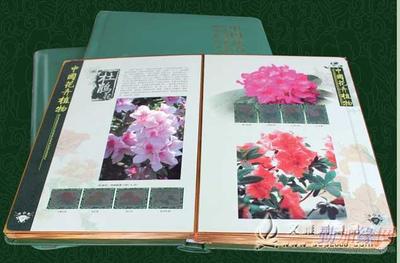 中國花卉植物郵票珍藏大系 文雅閣禮品網的正品銷售指南