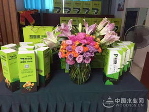 共謀發(fā)展，鵬森緣柳州客戶(hù)交談會(huì)盛大舉行，禮品花卉銷(xiāo)售迎春綻放